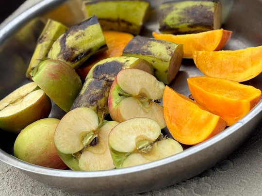 Ommy Kenya Safaris-瓦塔木必去景点