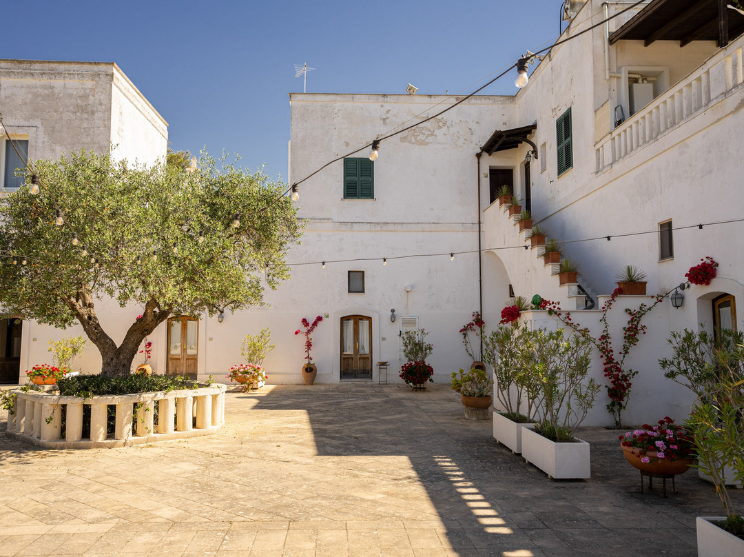 泰努塔德巴克酒店主图