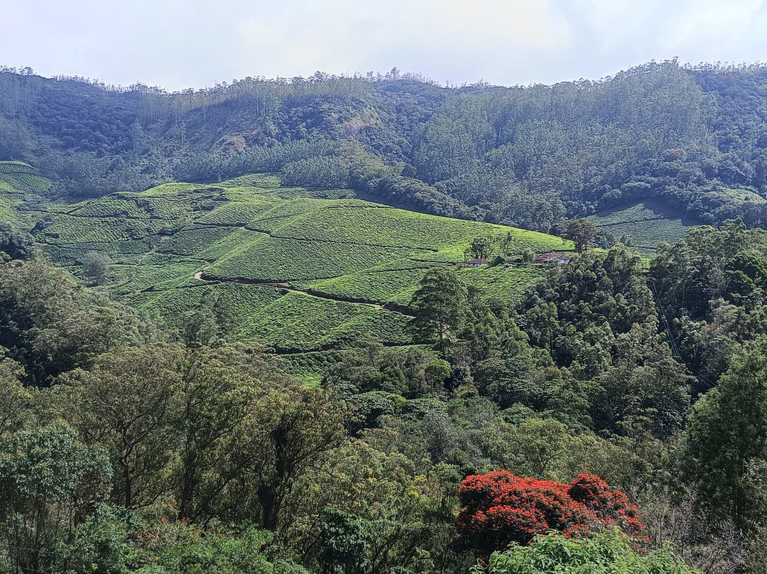 My Kerala Taxi Cab-Perumbavoor必去景点