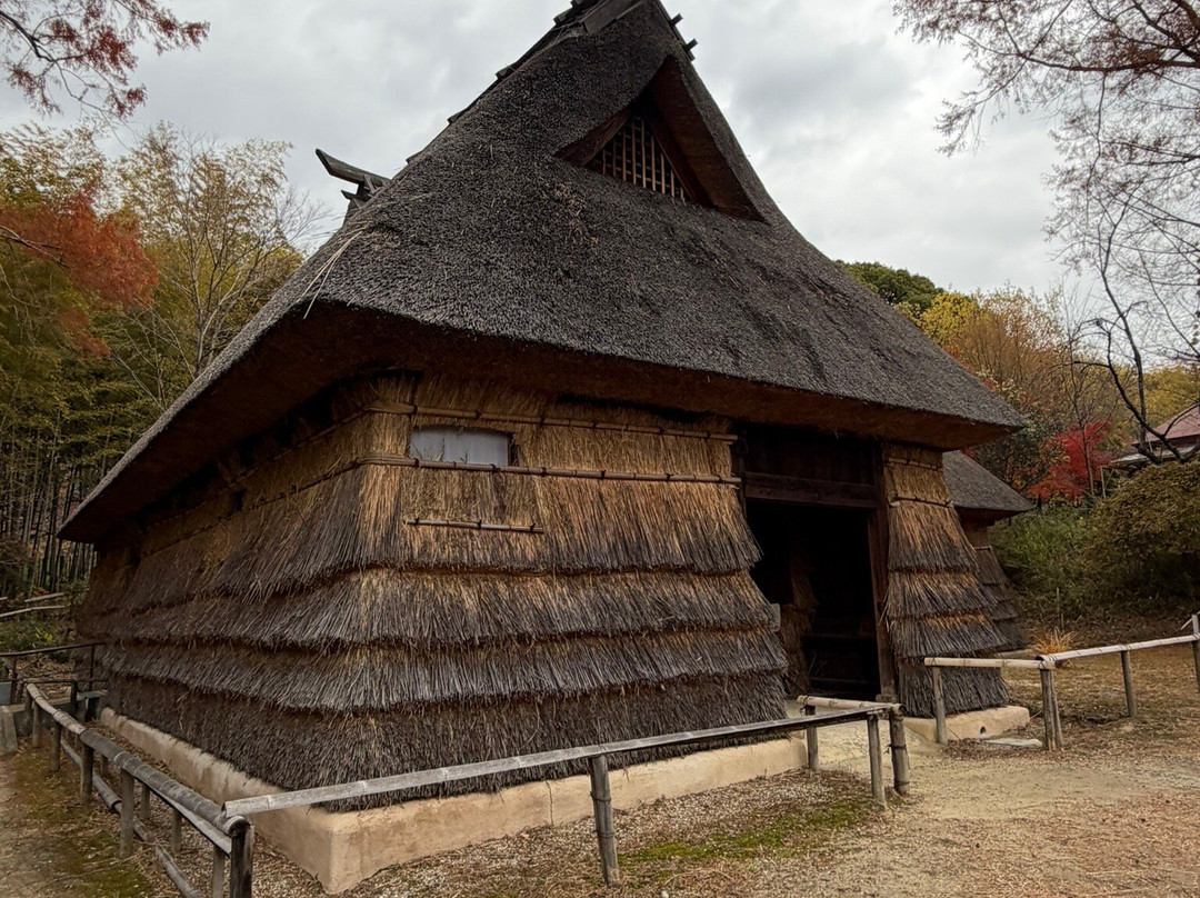Open-Air Museum of Old Japanese Farm Houses-丰中市必去景点
