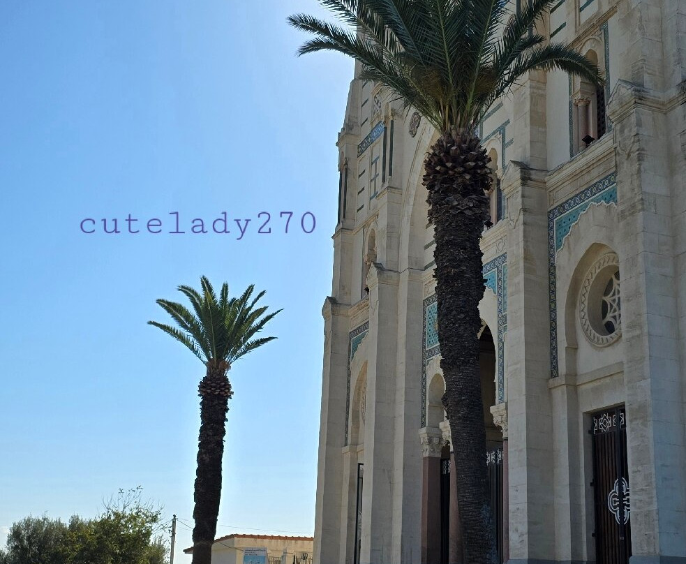 Saint Augustine Basilica-阿拿巴必去景点