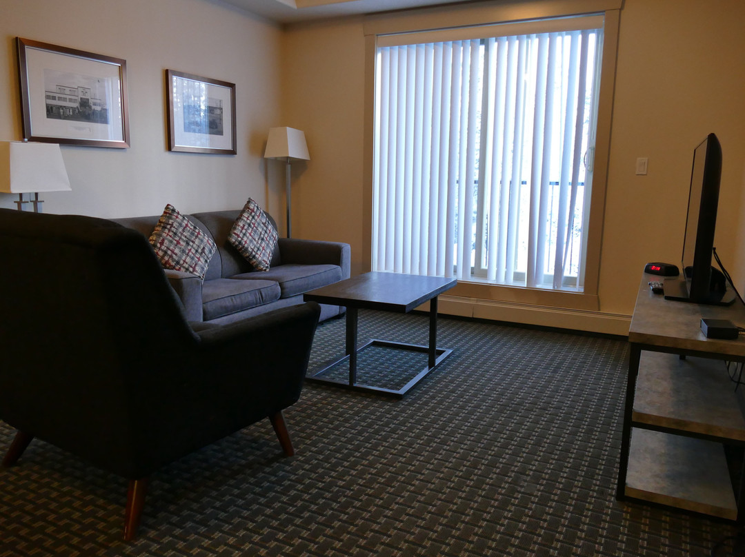 诺瓦耶洛奈夫城堡酒店主图