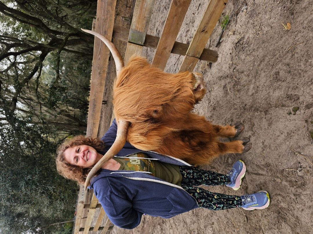 Whispering Oaks Miniature Ranch-Clermont必去景点