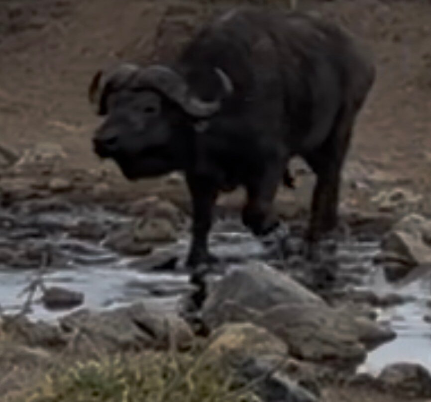 Blessing Safaris-阿鲁沙必去景点