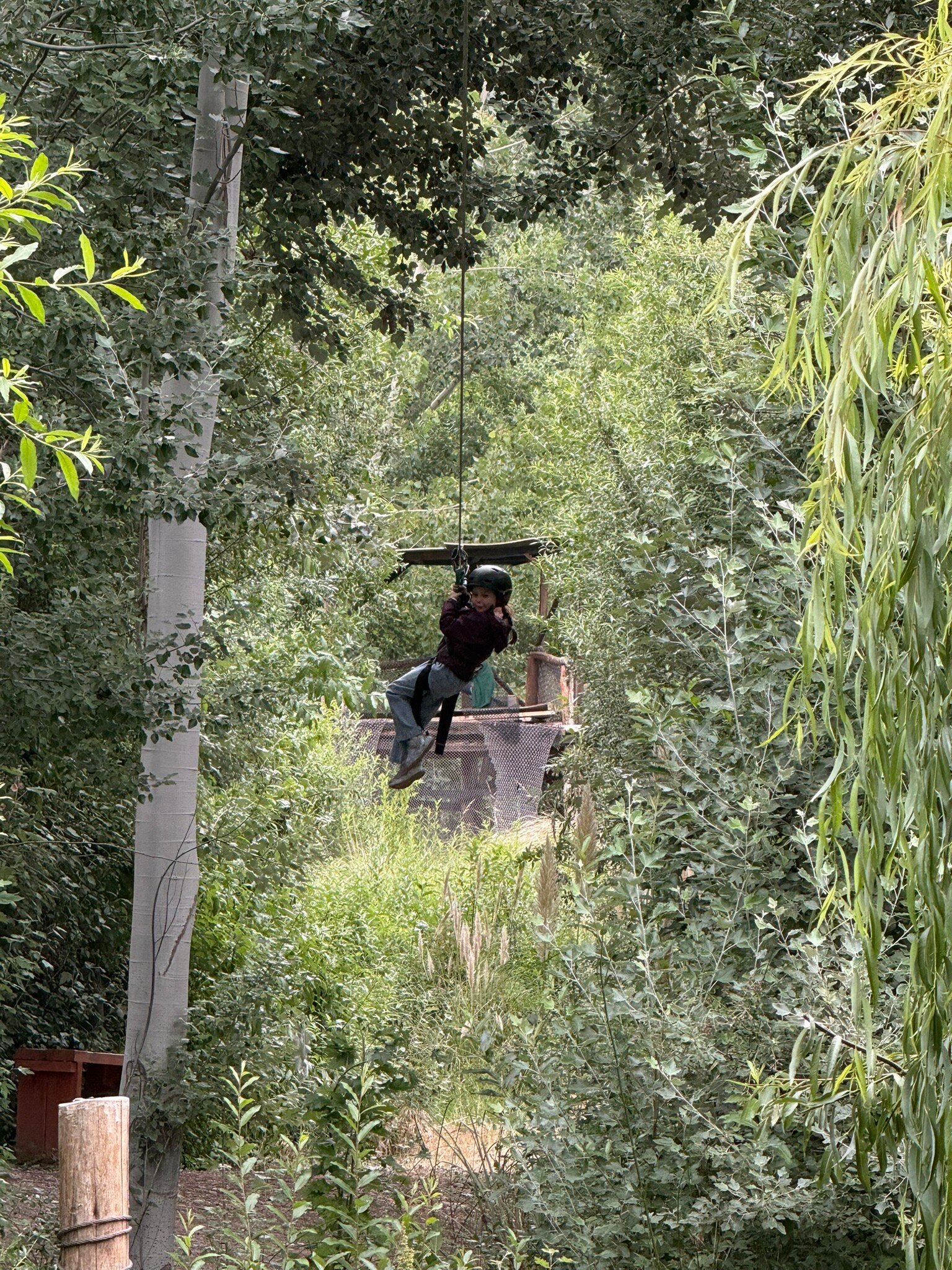 San Francisco Lodge-官方