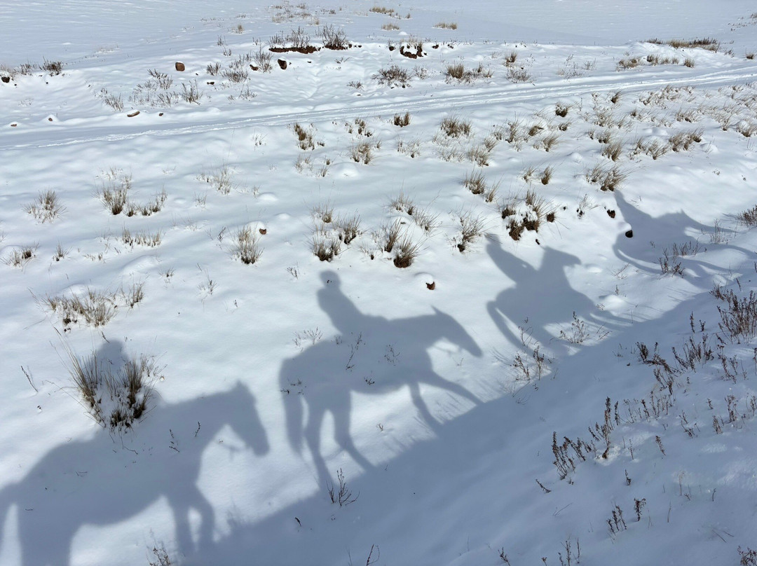 Kyrgyz Riders Travel Company-Kochkor必去景点