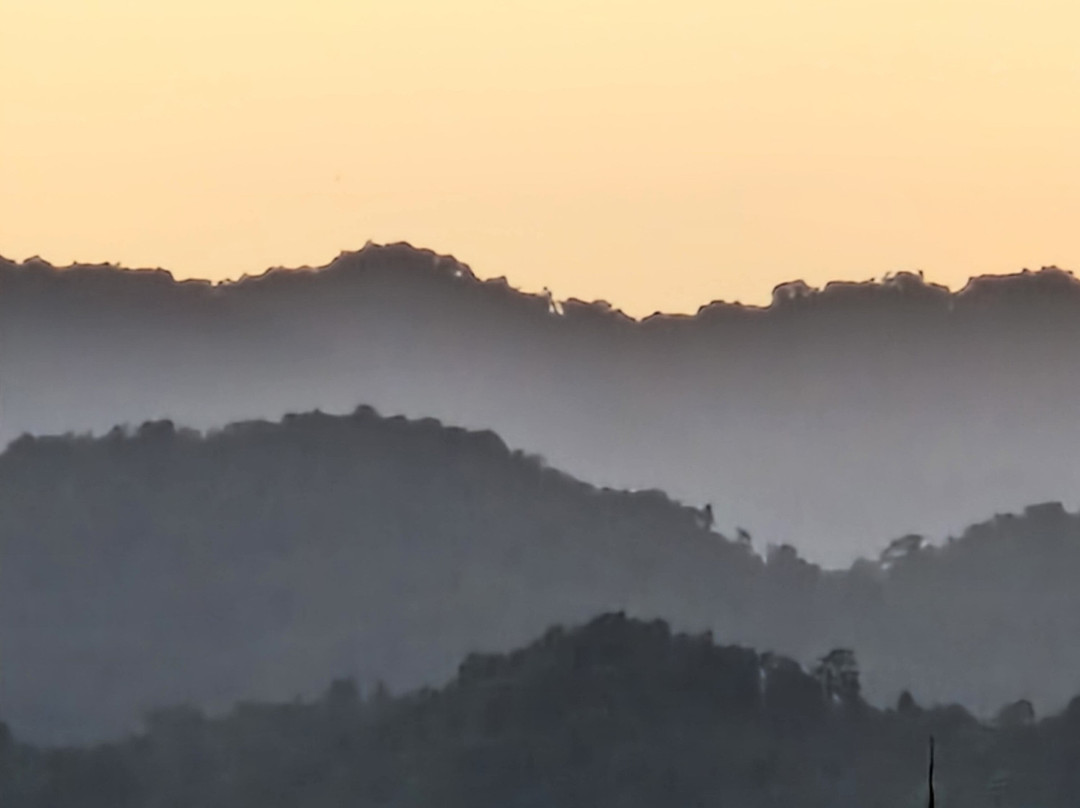 Gorilla Tour Booking Safaris-坎帕拉必去景点