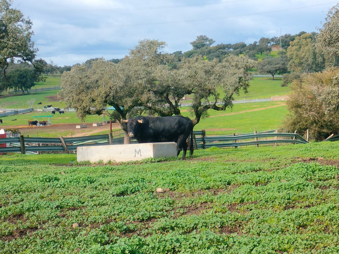 Ganadería Virgen María-吉列纳必去景点