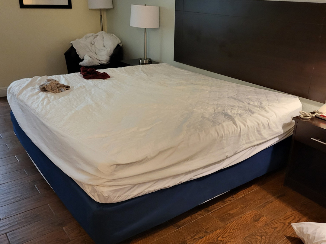 Fairway Inn Florida City主图