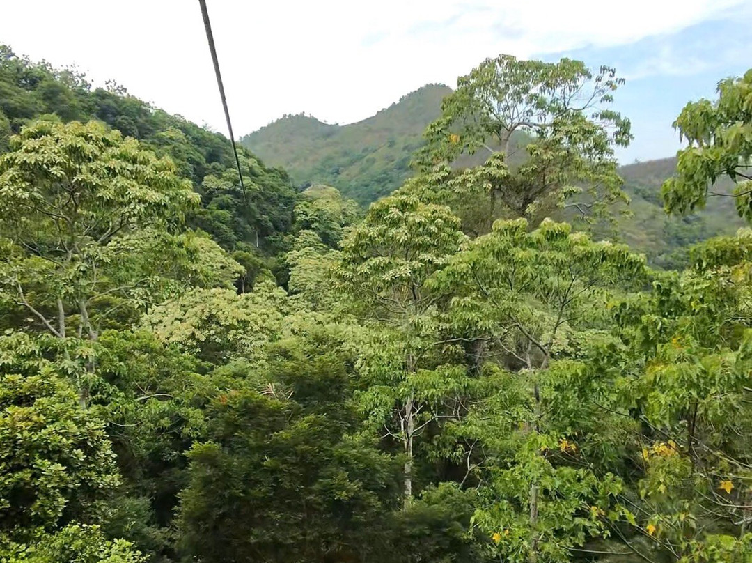 La Belle Verte Canopy Tours-Paita必去景点