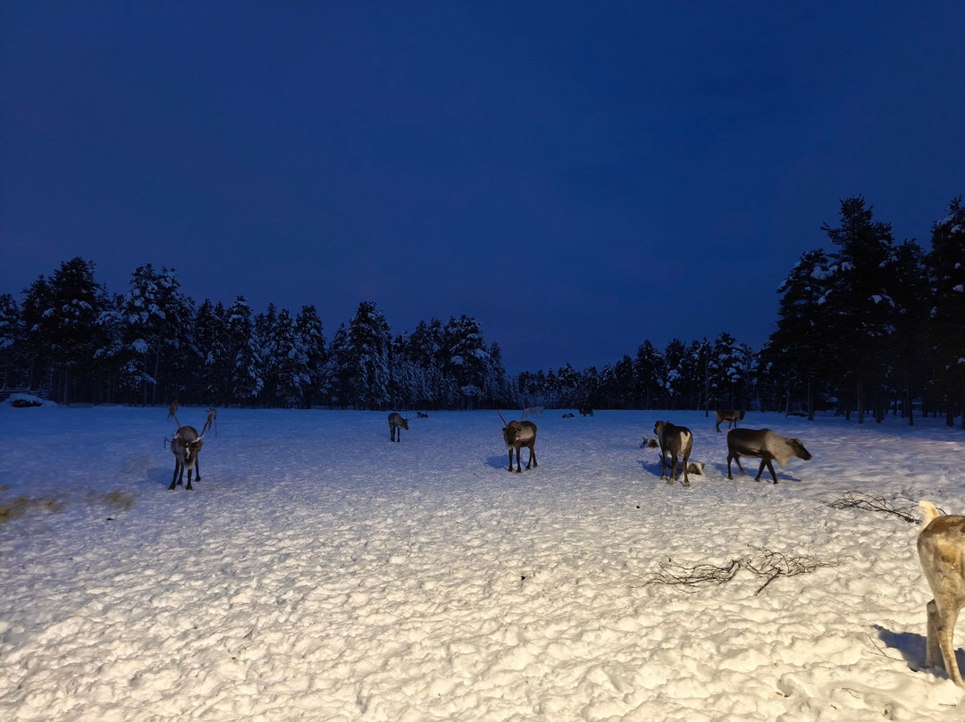 诺德俱乐部户外之旅-伊瓦洛必去景点