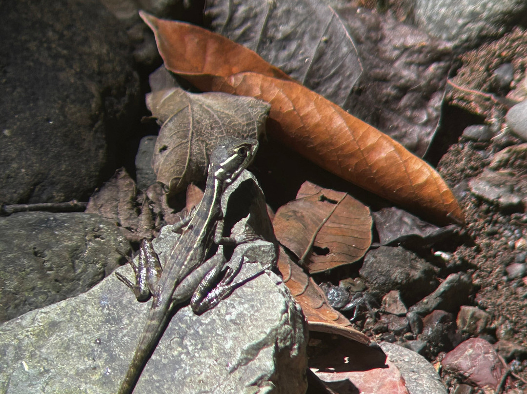 0S3 Private Tours-哈科必去景点