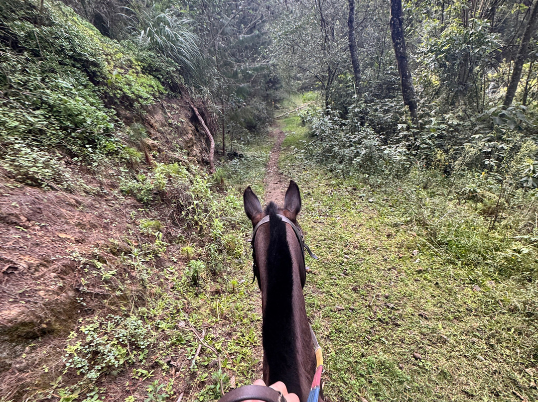 Centro Ecuestre Bellavista-昆卡必去景点