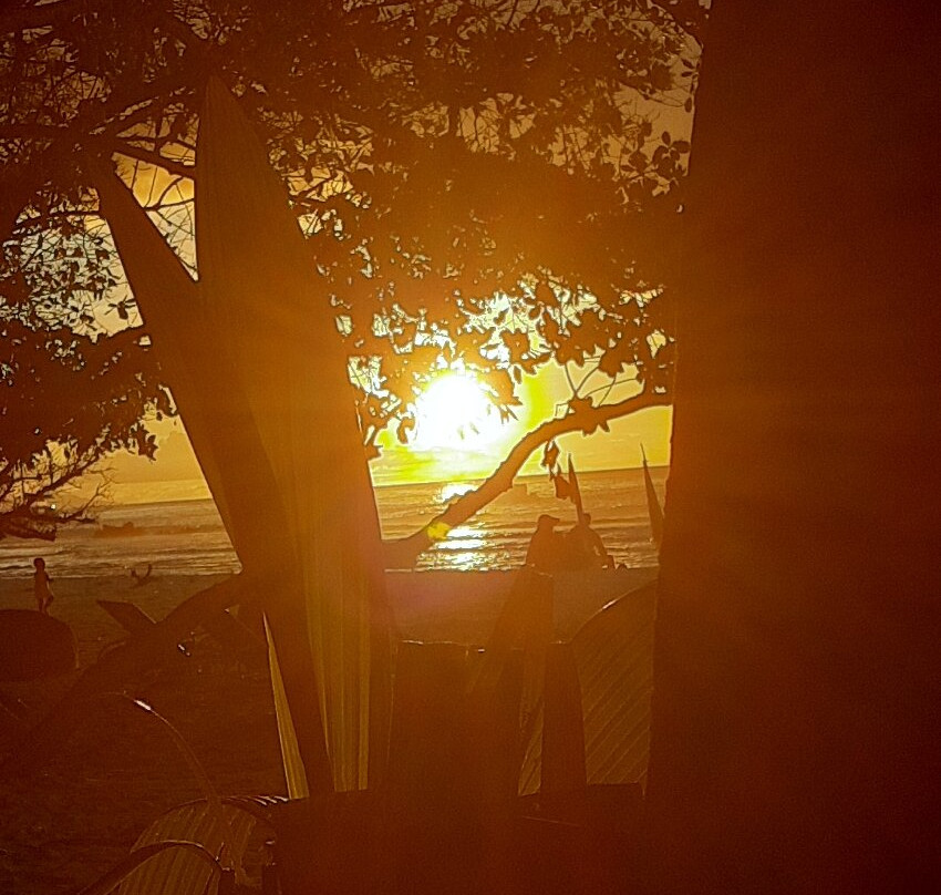 Karim's Fruits Bar-La Digue必去景点