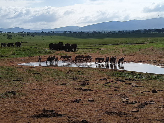 Girasole Tours And Safaris-瓦塔木必去景点