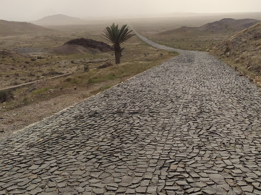Momo Tour Boa Vista-圣莫尼卡必去景点