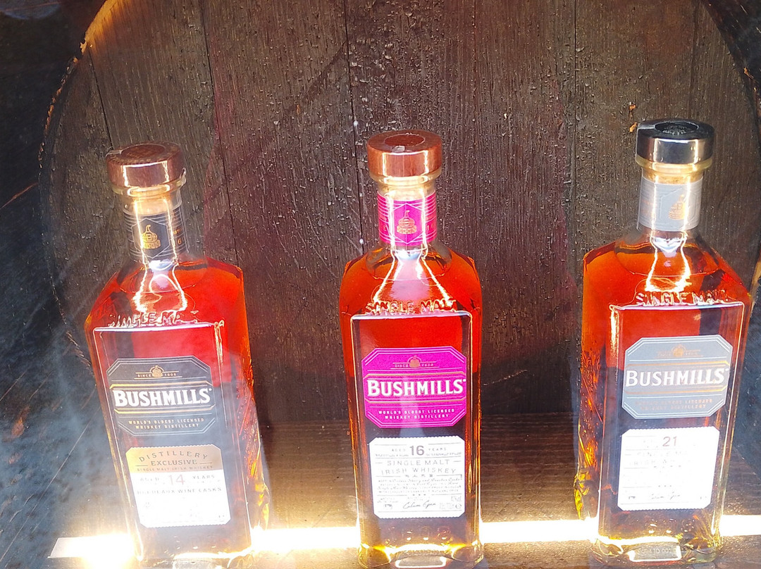 Bushmills Distillery-布什米尔斯必去景点