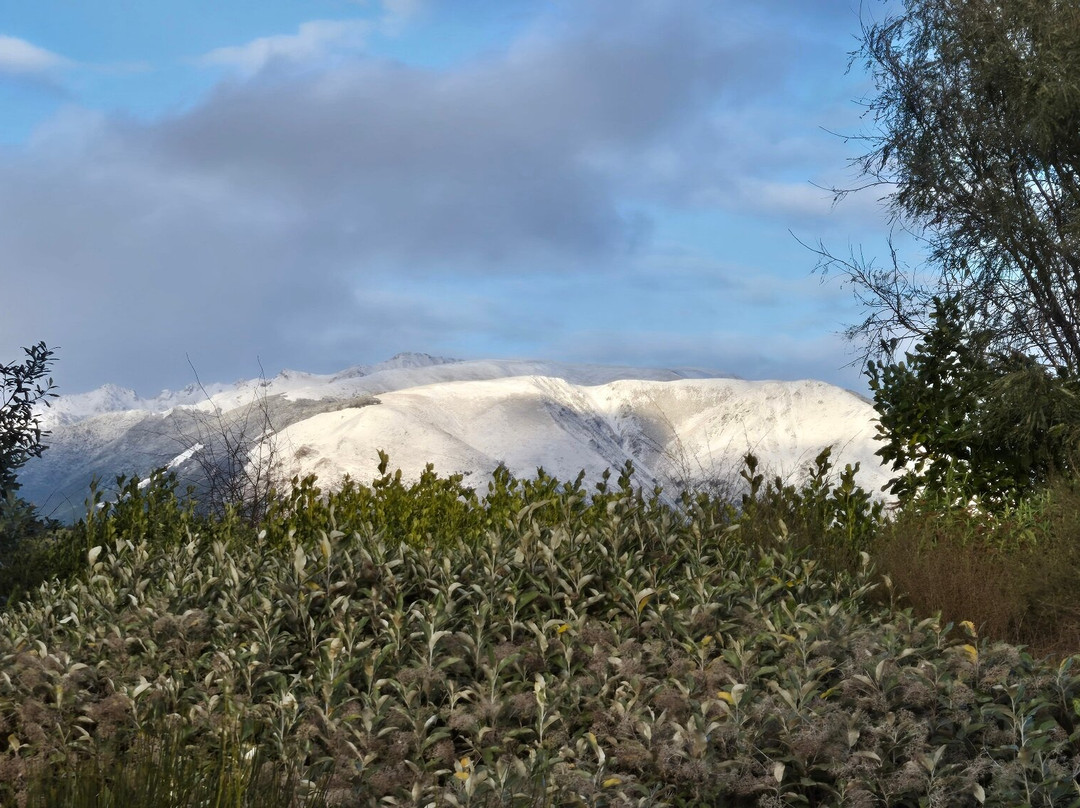 Nelson Lakes Homestay主图