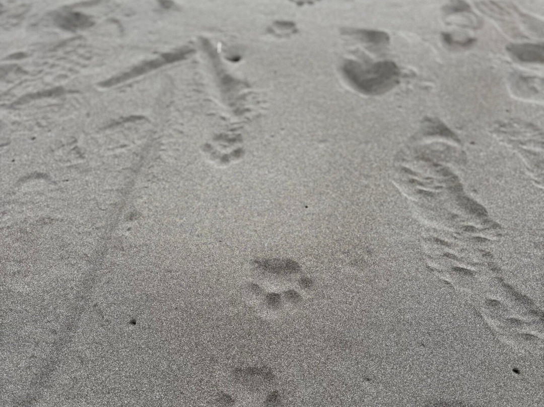 Costa Rica Roots Tours-托图杰多必去景点