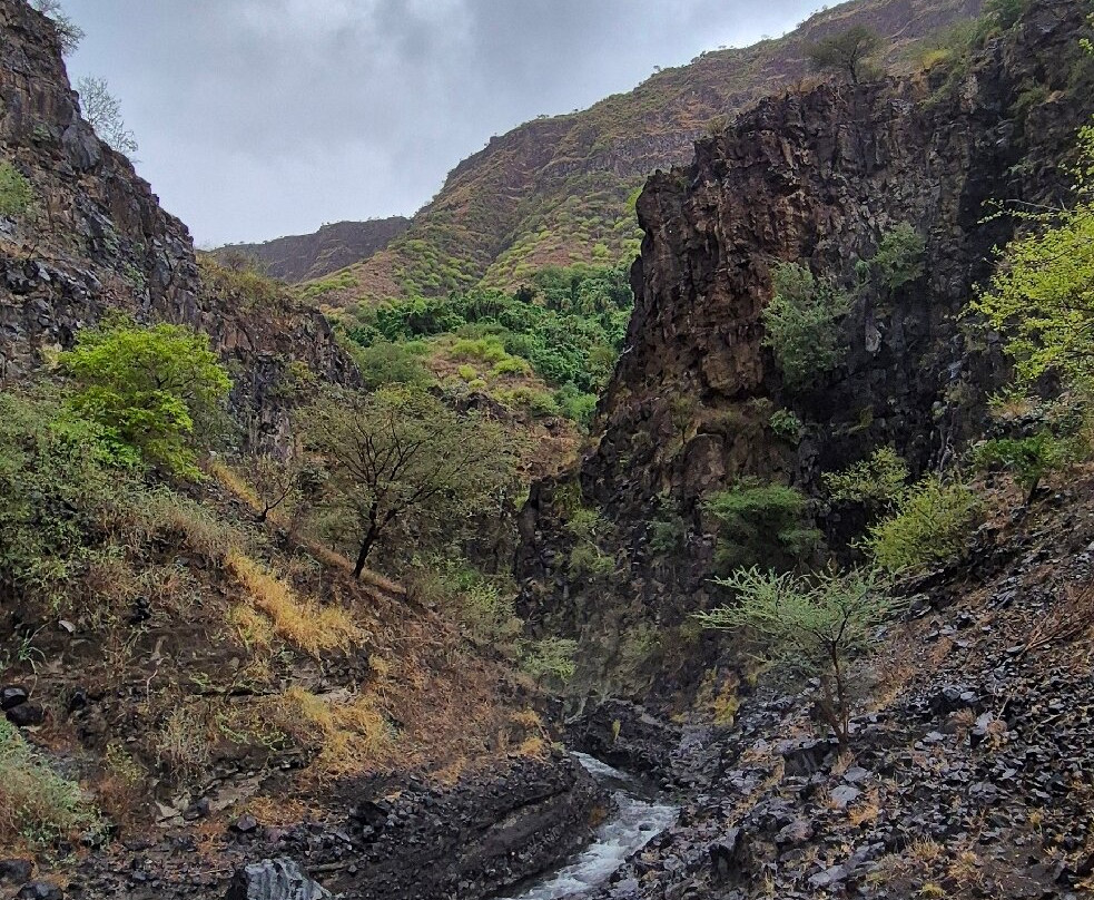 Fortes Africa-姆万扎必去景点