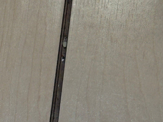 Hampton Inn Egg Harbor Township Atlantic City主图