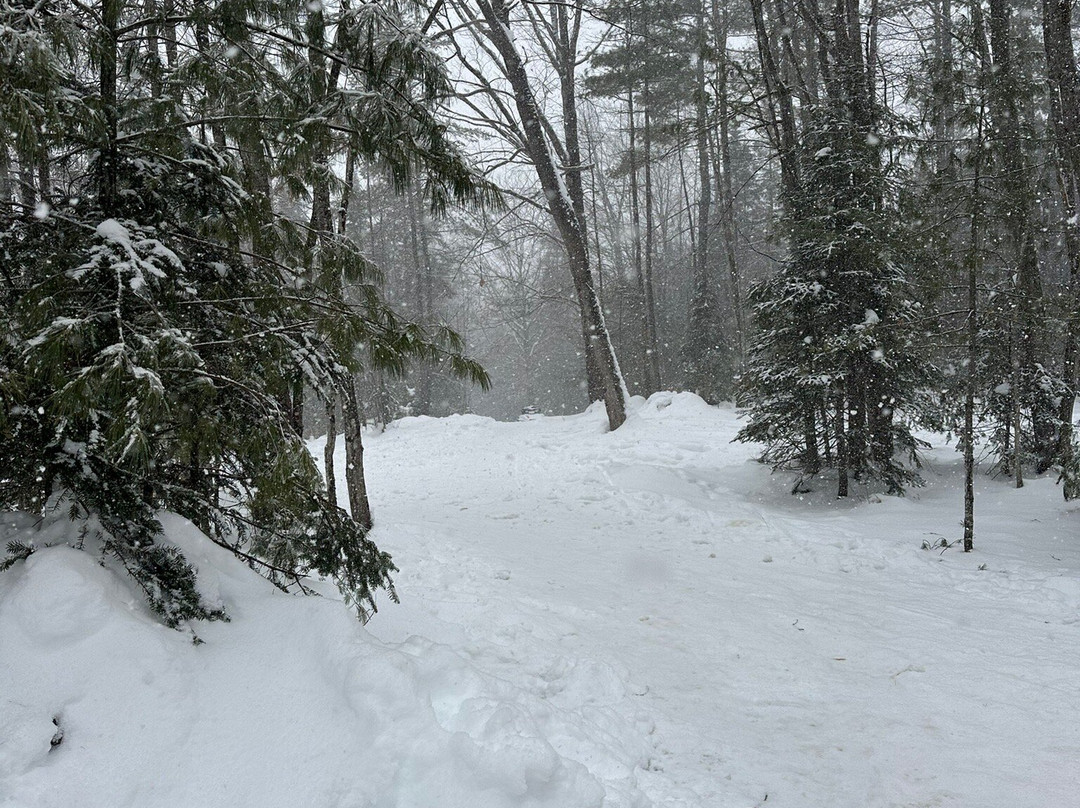 Ultimate Dog Sledding Experience-Canton必去景点