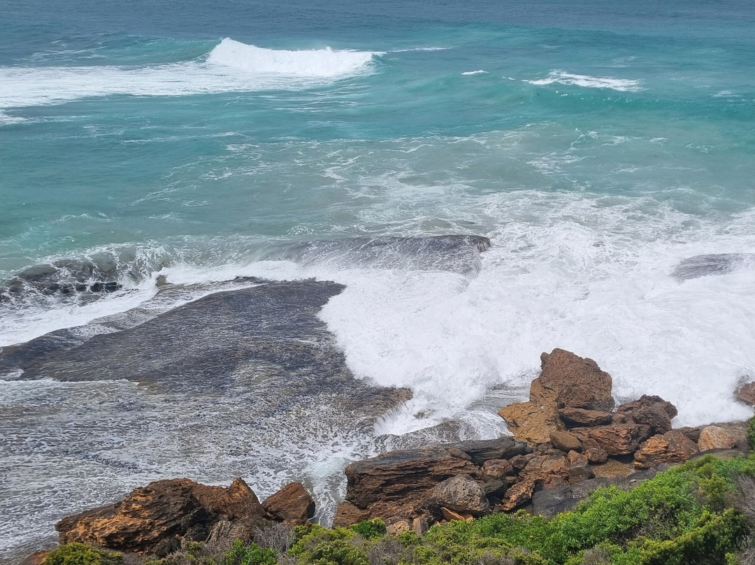 Enchanted Forest-Cape Bridgewater必去景点