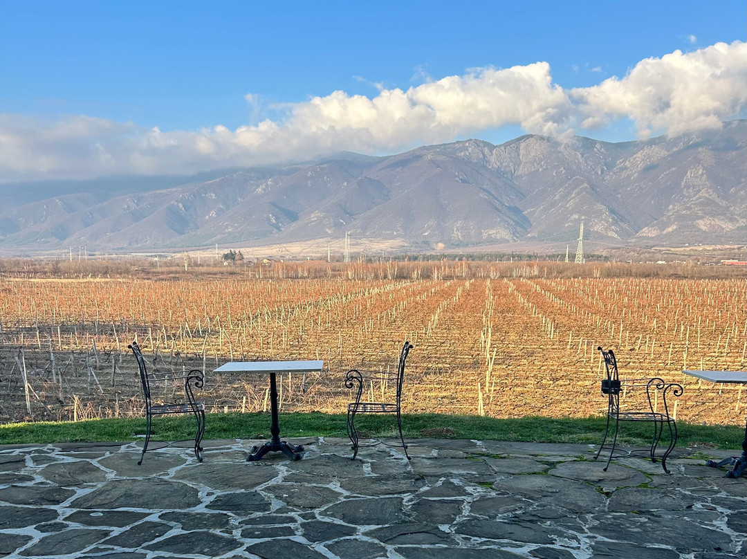 Chateau Copsa Complex主图