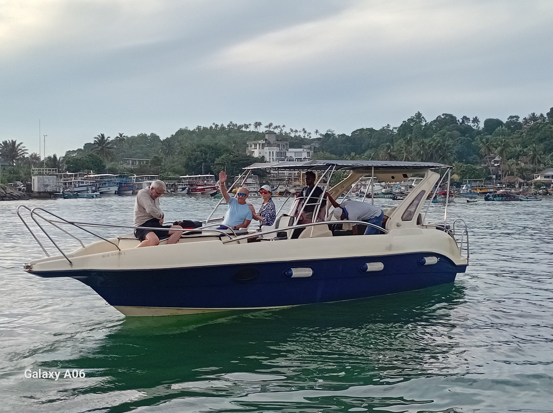 Whale Watching Mirissa with Geeth-美蕊沙必去景点