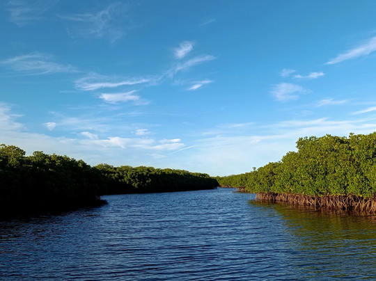 Baja Desconocida-拉巴斯必去景点