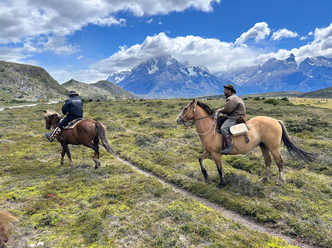 Cimarron Travel-Torres del Paine必去景点