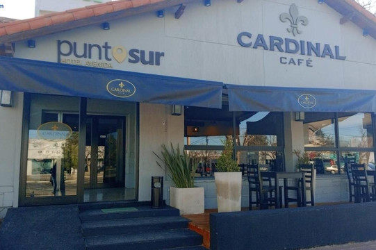 Hotel Punto Sur Avenida