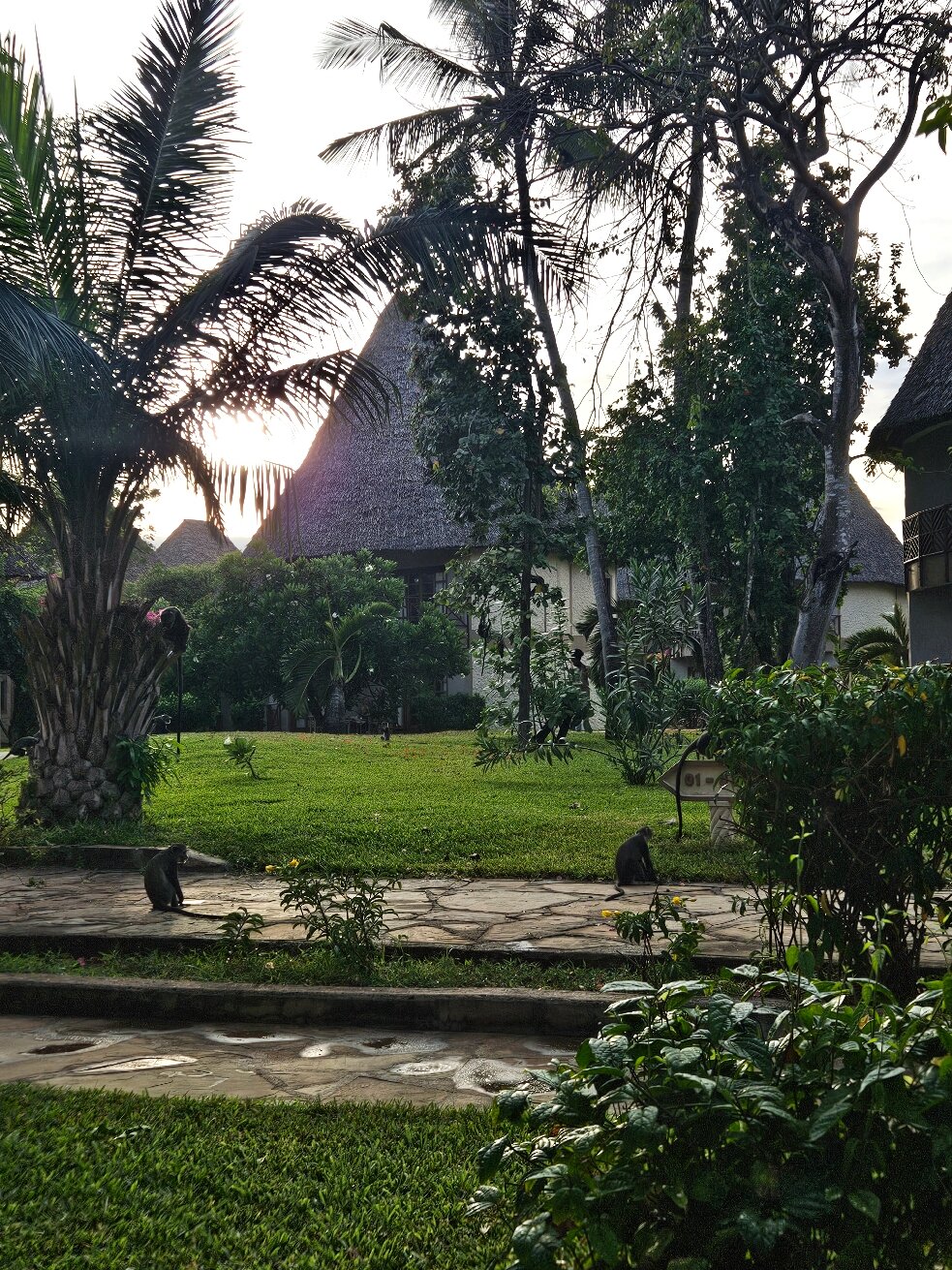 Neptune Village Beach Resort & Spa-官方