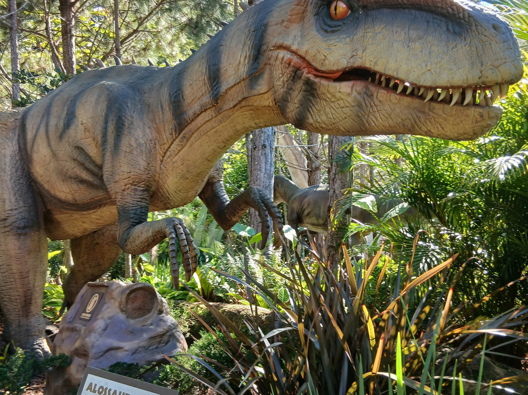 Aventura Jurássica-康泊琉海水浴场必去景点