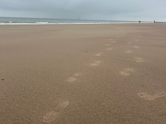 Fletcher Strandhotel Haamstede主图