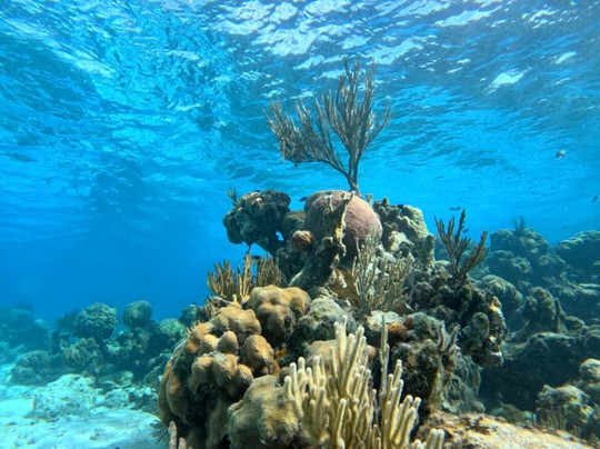 Varadero Diving Tour-Playa Larga必去景点