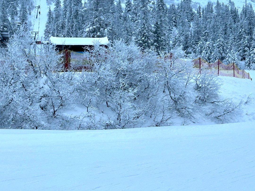 Skistar Trysil-特吕西尔市必去景点