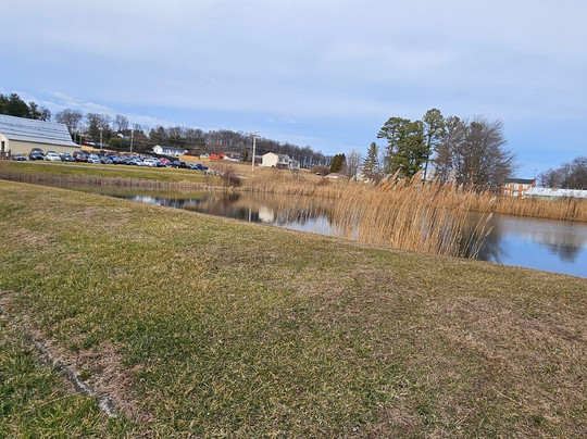 North Carroll Community Pond-Hampstead必去景点