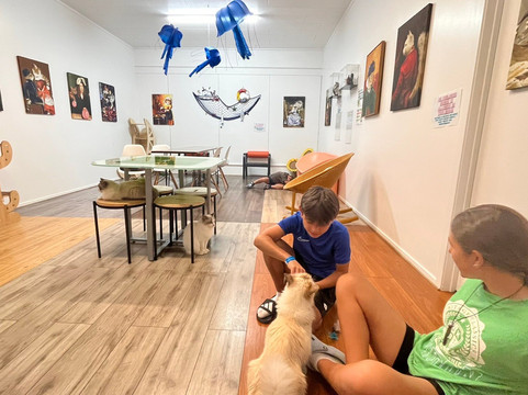 Fancy Meow Cat Cafe-罗托鲁瓦必去景点