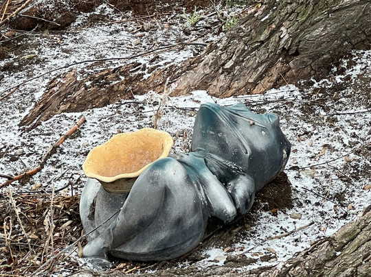 Cleo's Ferry Museum and Nature Trail-Melba必去景点