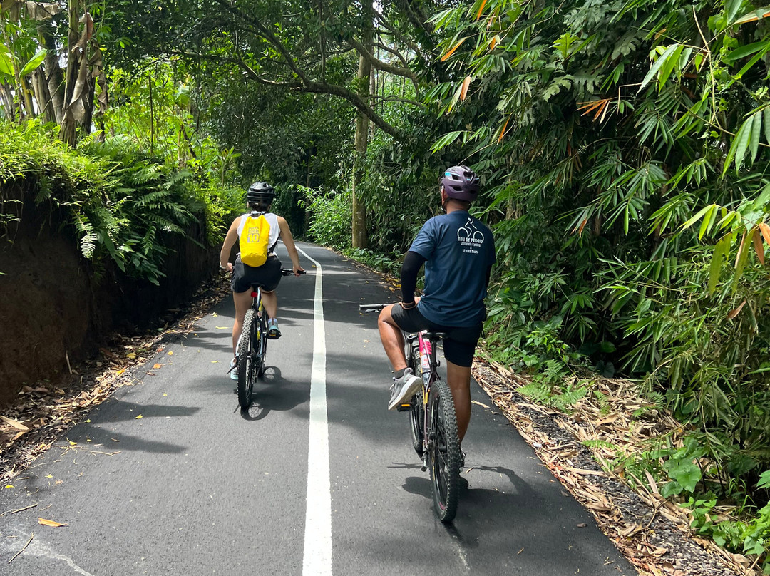 Jatiluwih Cycling & E-bike Tours With Bali By Pedals-达巴南必去景点