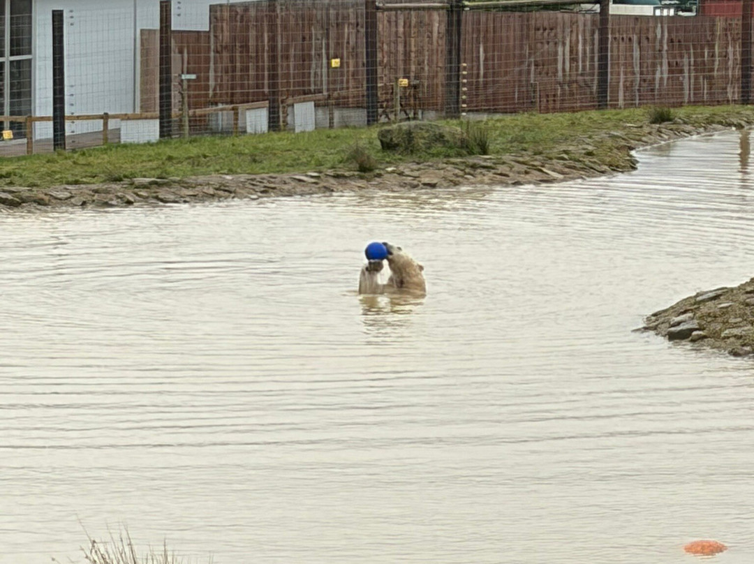Peak Wildlife Park-Winkhill必去景点