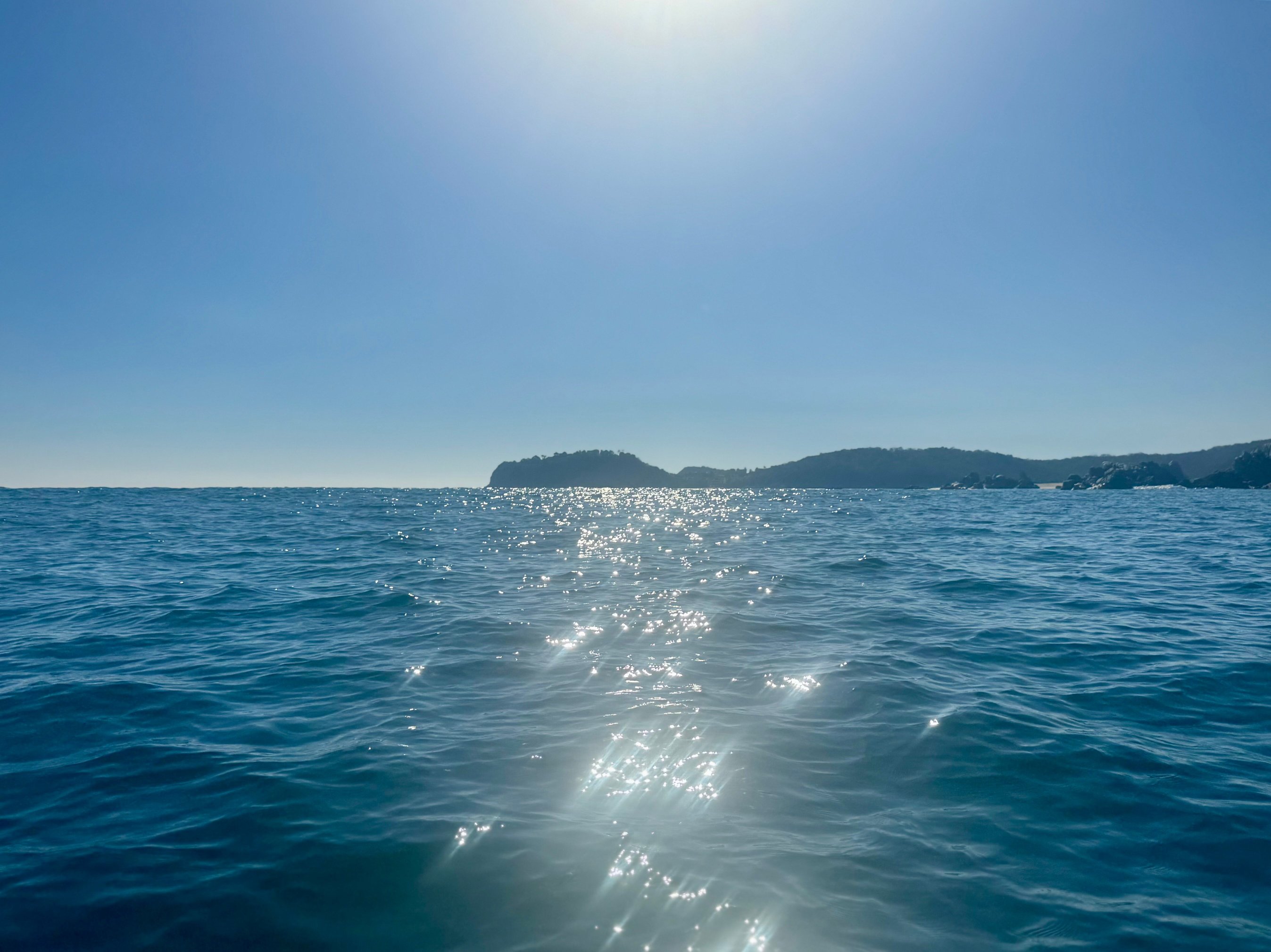 Secrets Huatulco Resort & Spa-泳池