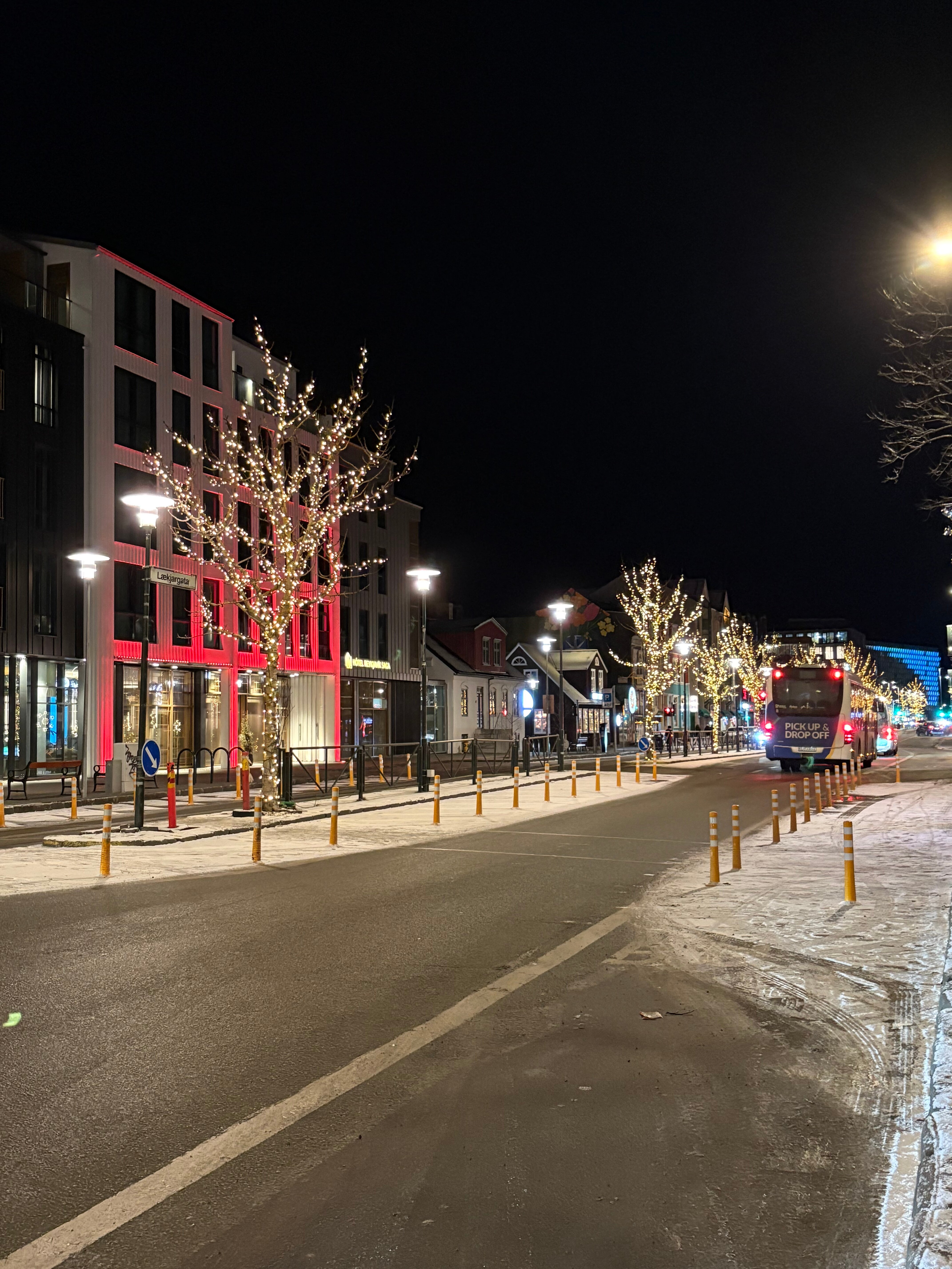 Hotel Reykjavik Saga-官方