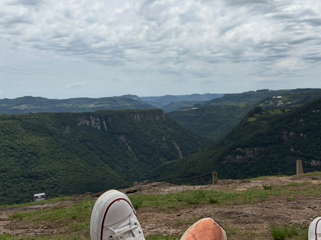 Parque Olivas de Gramado-格拉玛多必去景点