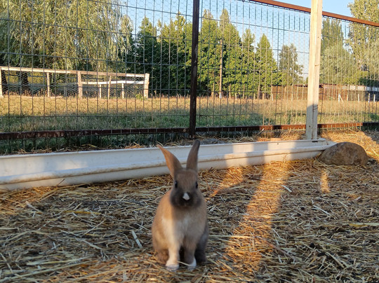 Granja Museo Dona Rita-奇廉必去景点