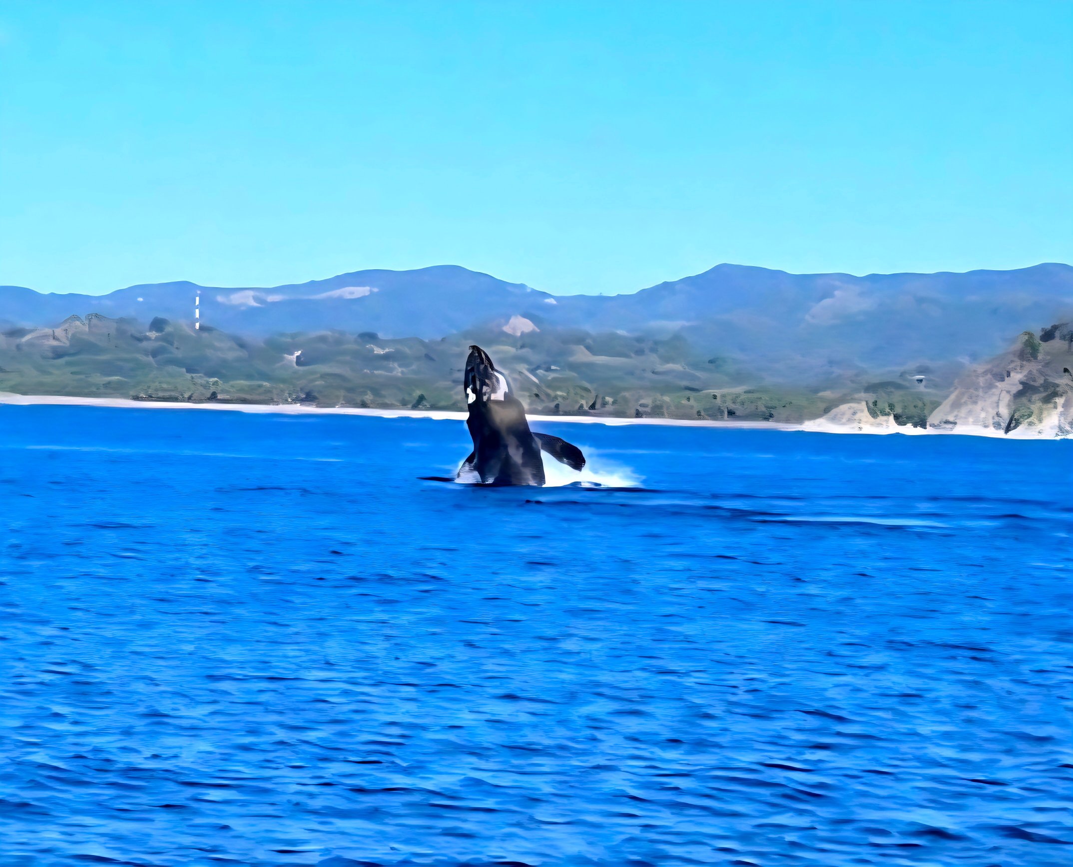 萨马拉海滩别墅酒店-官方