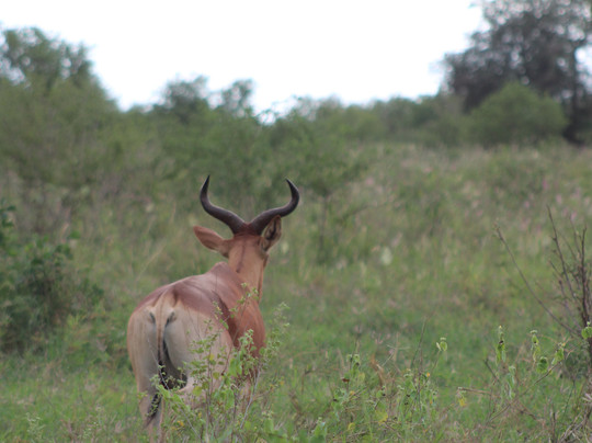 Dida Tours and Safaris-山祖必去景点