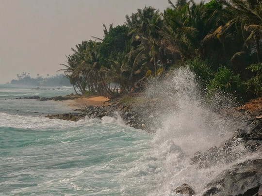 Dilshan Tours In Sri Lanka-尼甘布必去景点