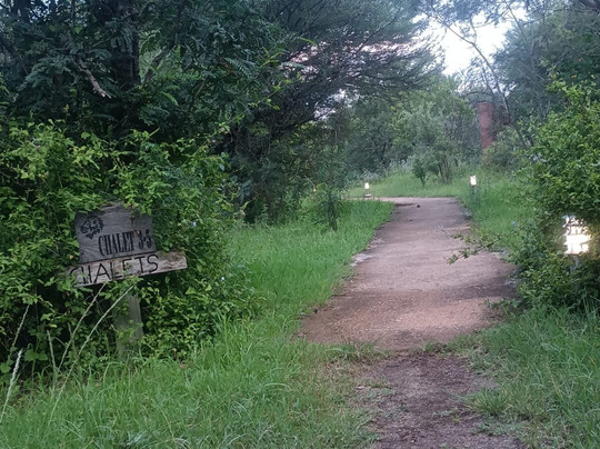 Lion and Cheetah Sanctuary-柯立南必去景点